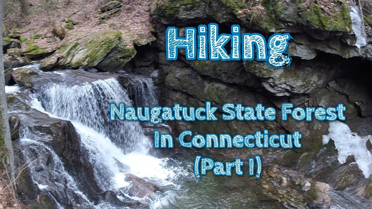 Hiking Naugatuck State Forest Part I ||  In Connecticut