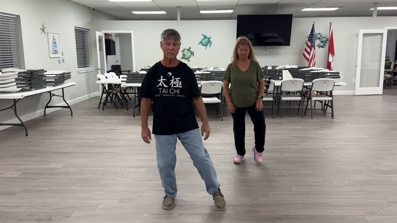 Tai Chi Qi Gong