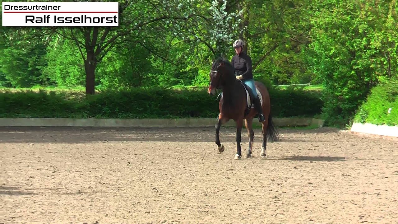 www.dressurtrainer-isselhorst.de - Dressurtraining Klasse M / S