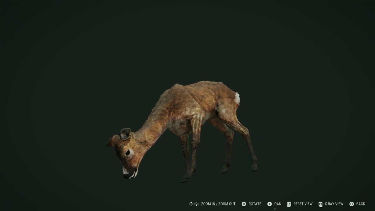 Epic kills in The Hunter Call of the Wild, Slow Motion [Part 1].