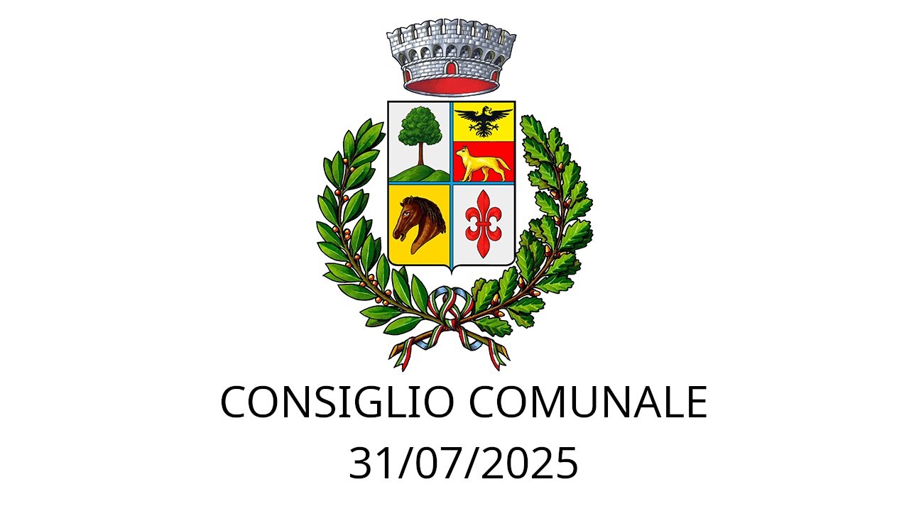 Consiglio Comunale 31/07/2025