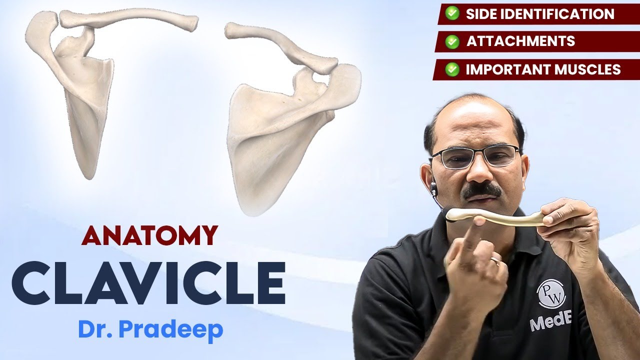 Clavicle | Anatomy | Hard Parts Made Easy with Dr. Pradeep Pawar Sir | PW MedEd
