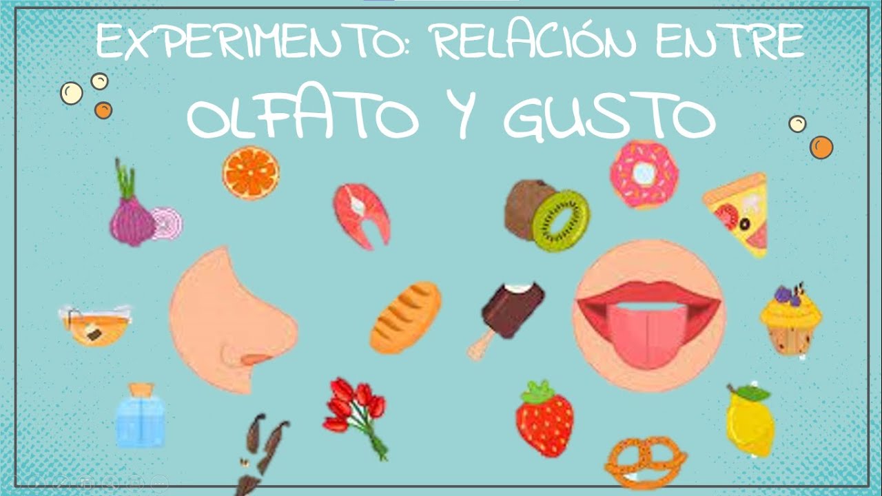 Experimento Olfato y Gusto
