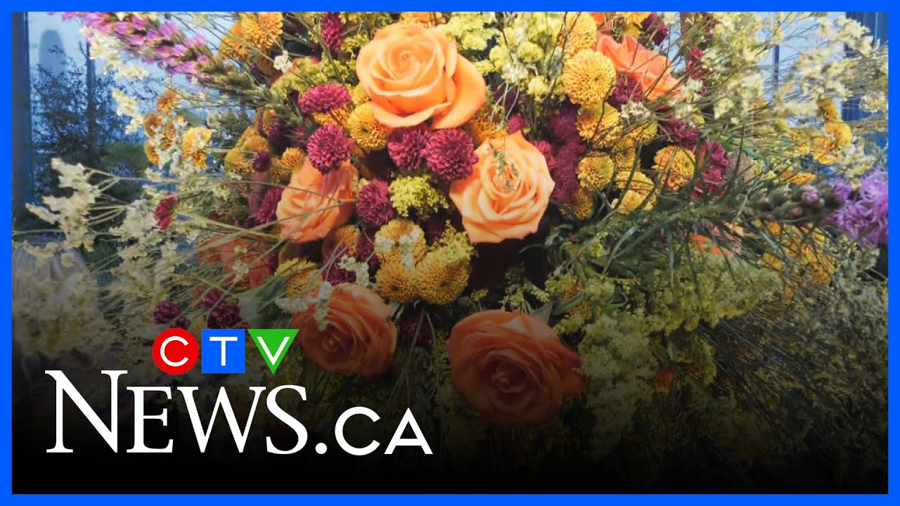 Super Bloom brought to life