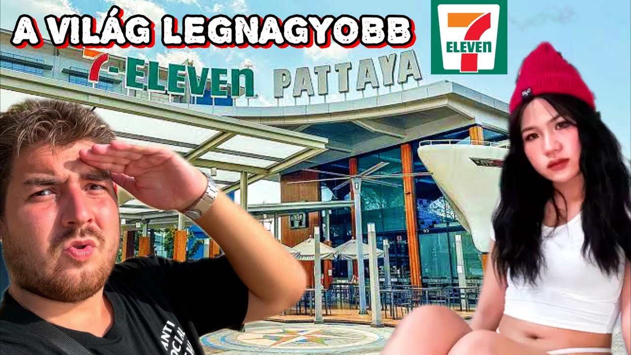 NAPI LIVE #8
