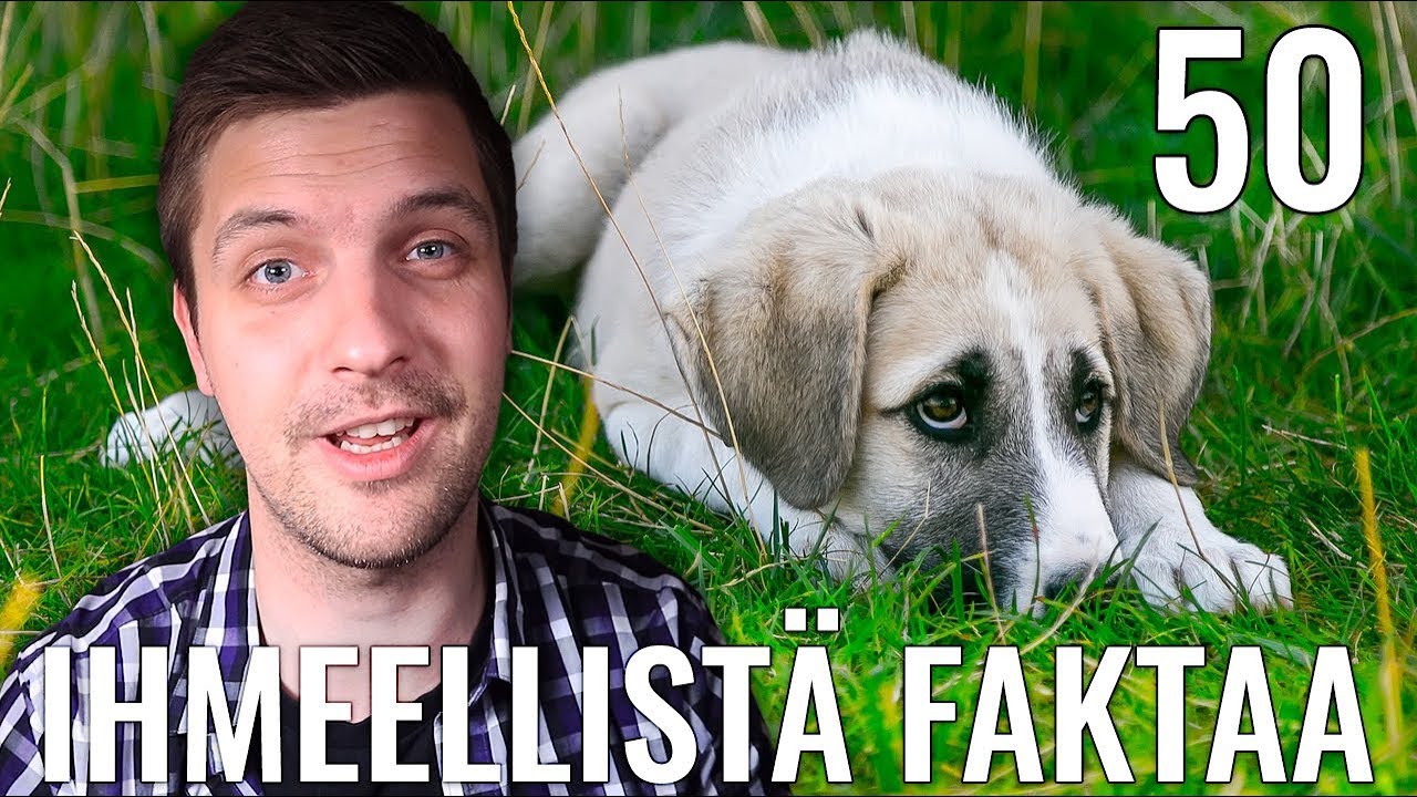 50 IHMEELLISTÄ FAKTAA MAAILMASTA #17