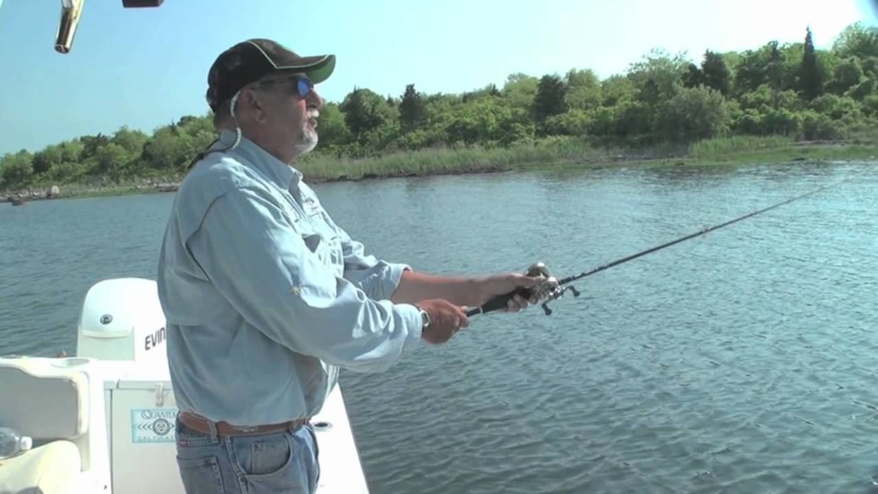 Big Spring Stripers of Narragansett Bay