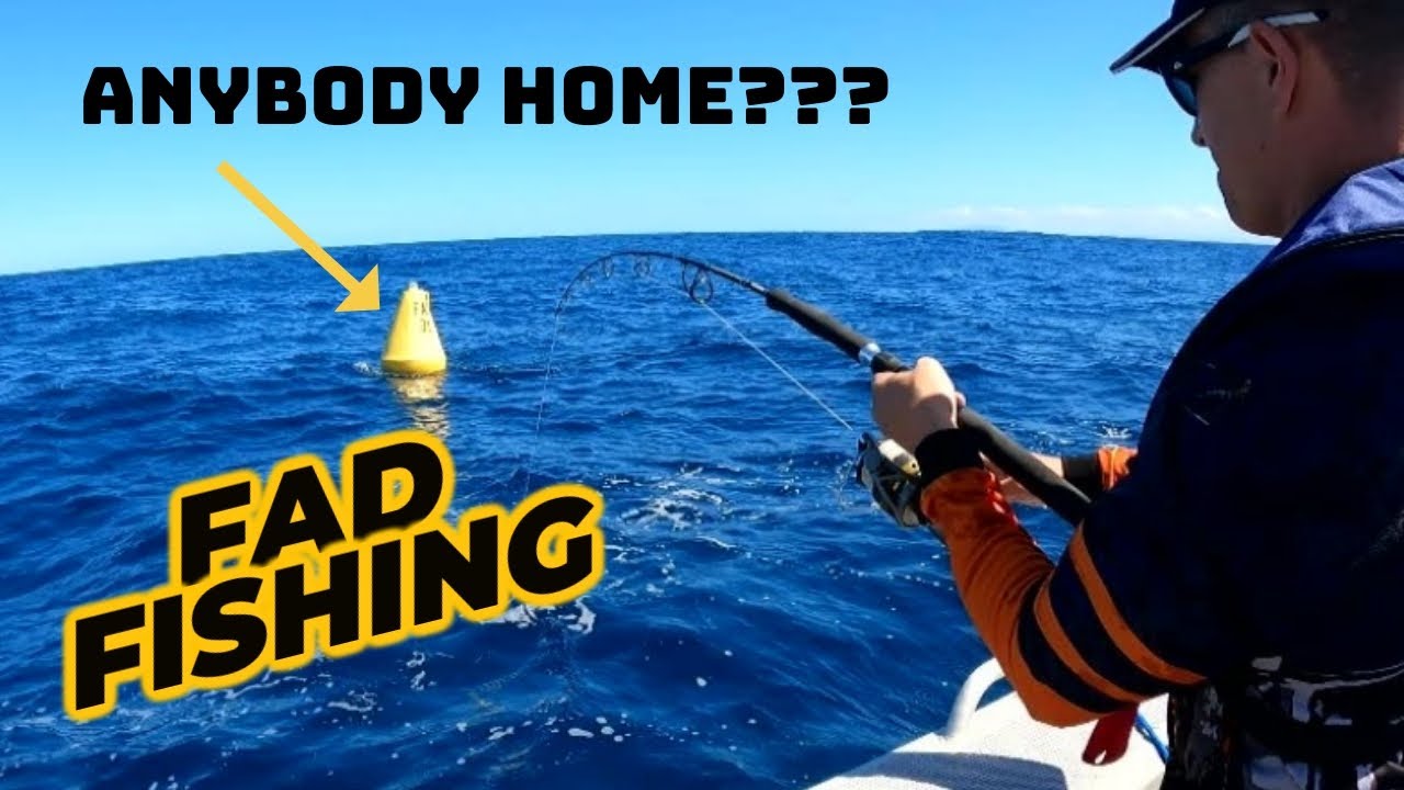 Jigging for Yellowtail Kingfish!