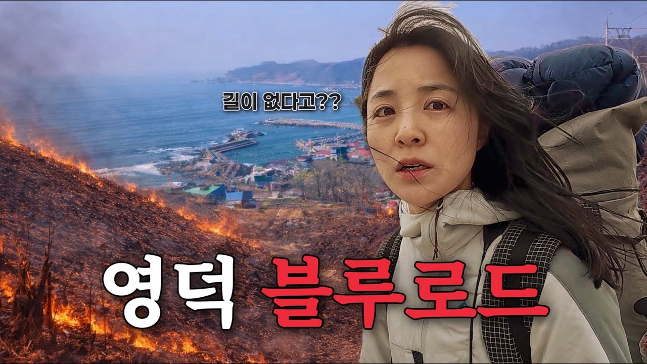 산불이 휩쓸고 간, 쓸쓸해진 영덕 해안길을 나혼자 1박2일 걸으면 생기는 일