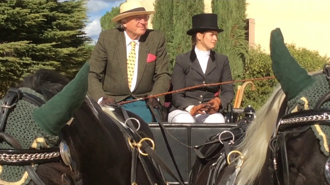 Haras National d'Uzès - Concours d'attelage de tradition
