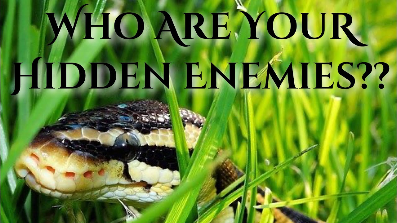 ✨Aquarius✨ Beware Of Jealous People You Work With (Coworkers) &A Friend Of One Of Your Friends