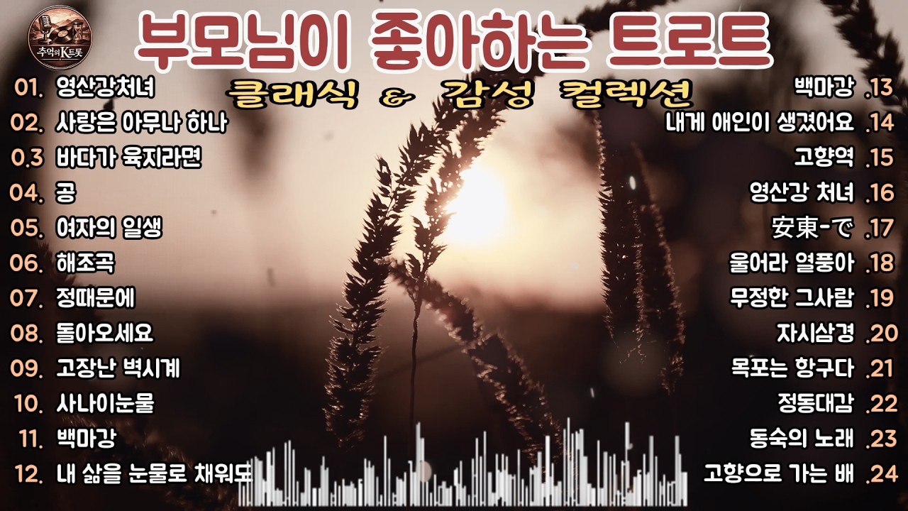 🎧 부모님이 좋아하는 트로트 │ 영산강 처녀·사나이눈물·여자의 일생·고향역 외 추억과 감동을 전하는 정통 트로트 명곡 연속듣기 컬렉션