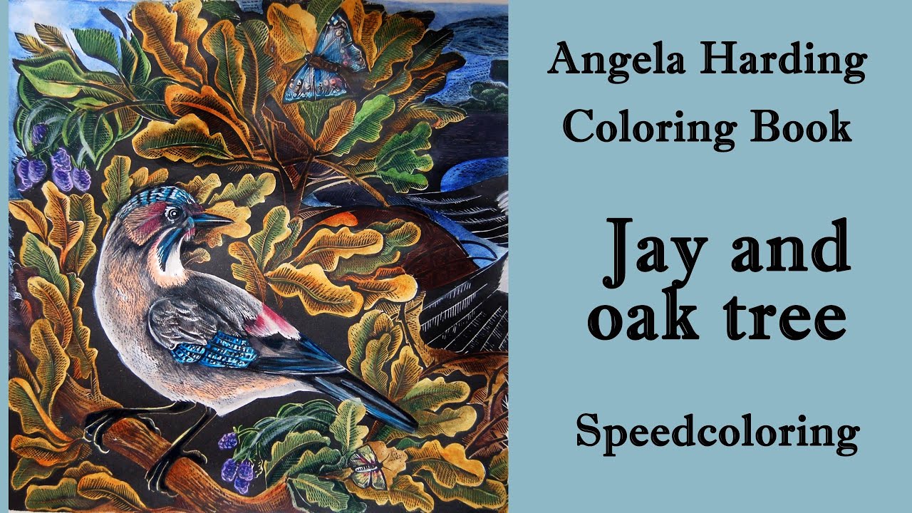 Jay and oak tree. Speedcoloring in 'Angela Harding Coloring Book' #adultcoloring