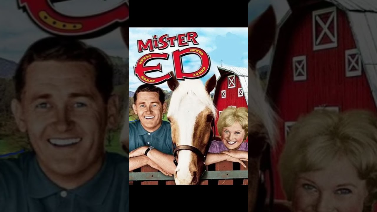 Old School Shows I Grew Up On Part 11 