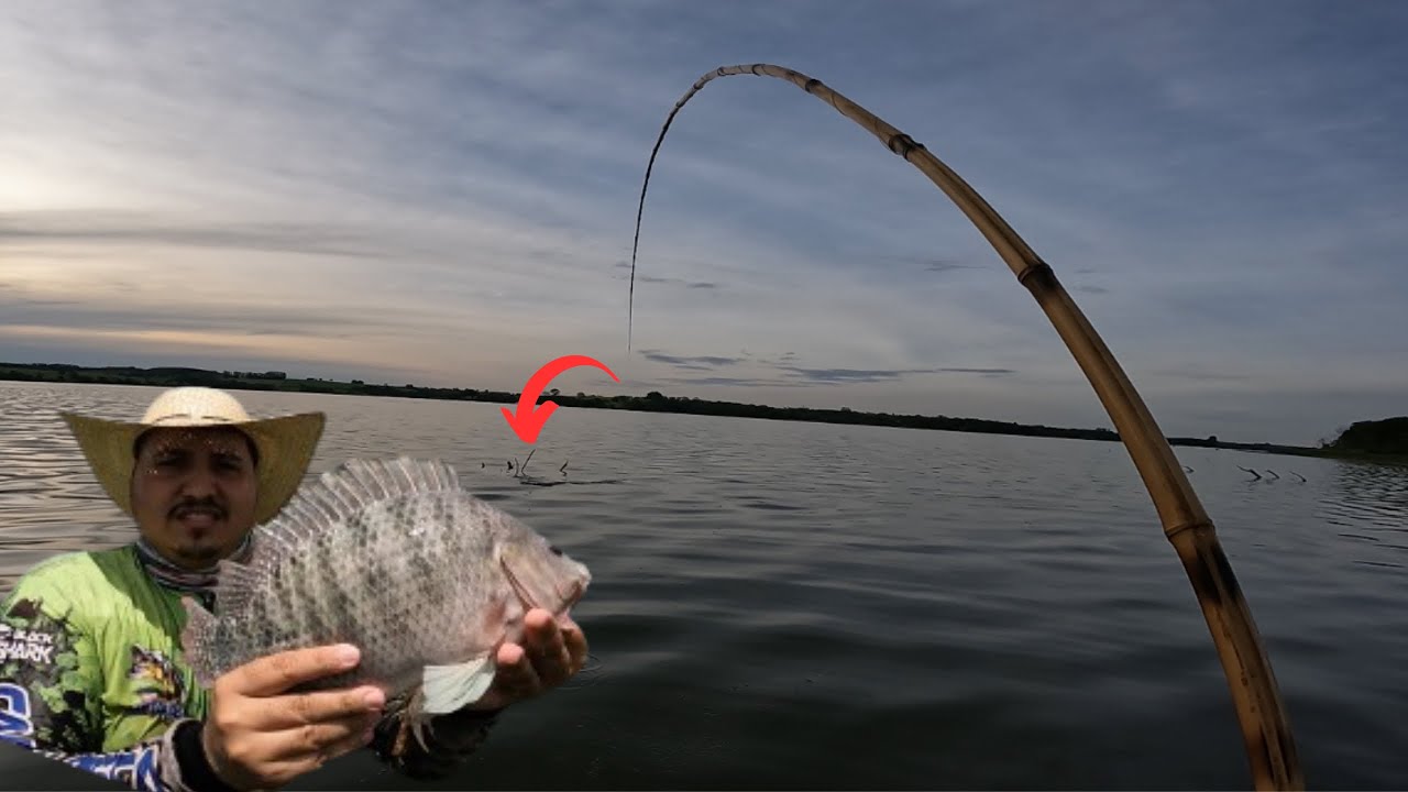 pescaria de tilápia no rio barra mansa, esse lugar tem peixe demais, ponto de pesca babaçu  #pesca