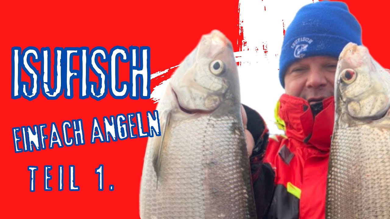 Balchenfischen in der Schweiz | Teil 1.