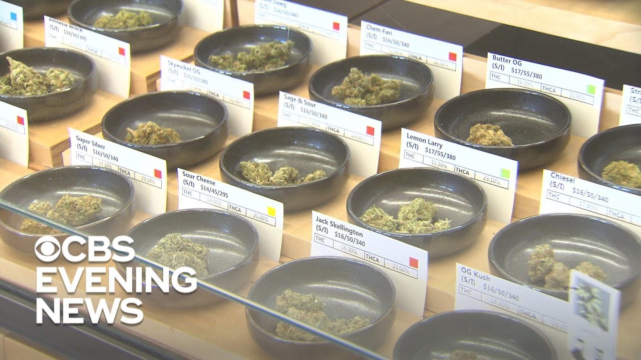 Marijuana on the ballot: Which states could legalize pot?