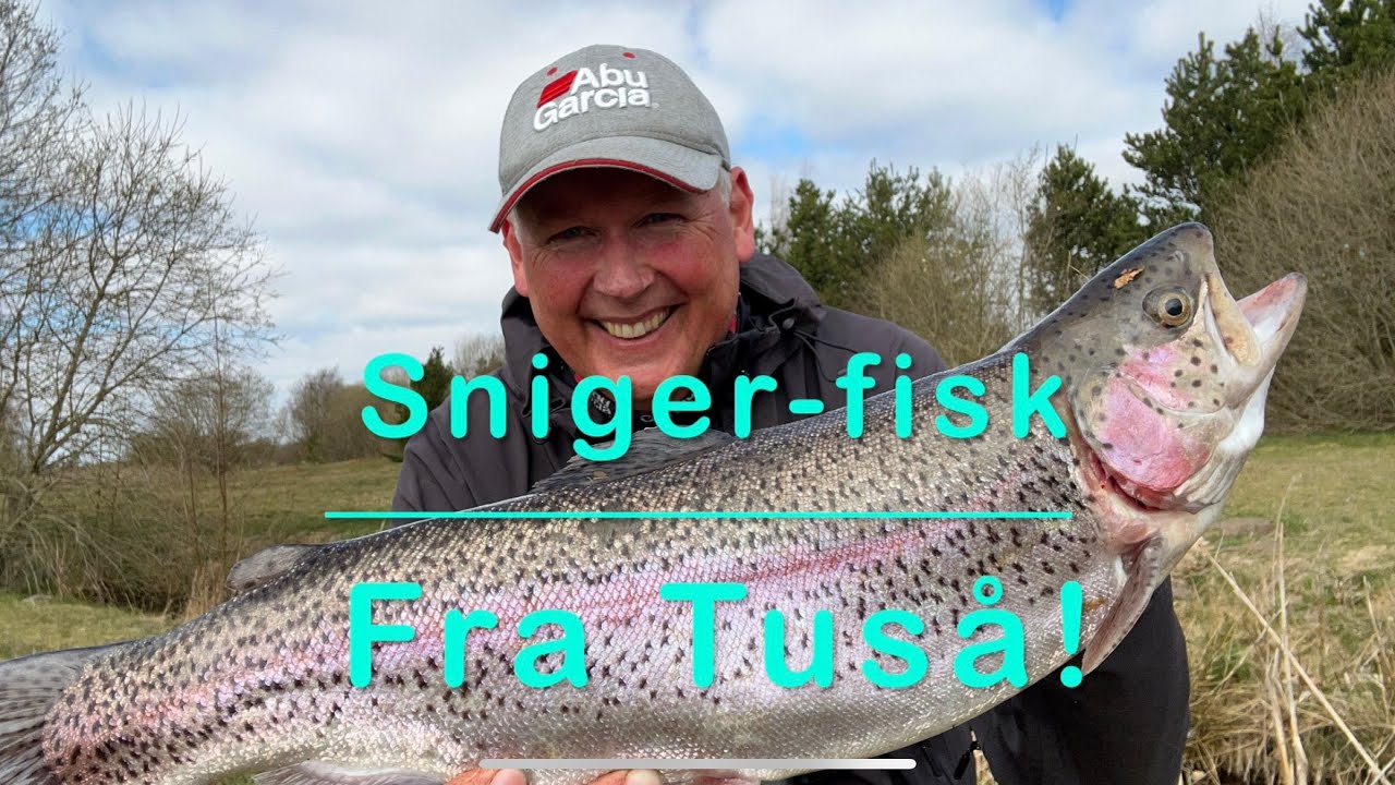Sniger-fisk fra Tuså!
