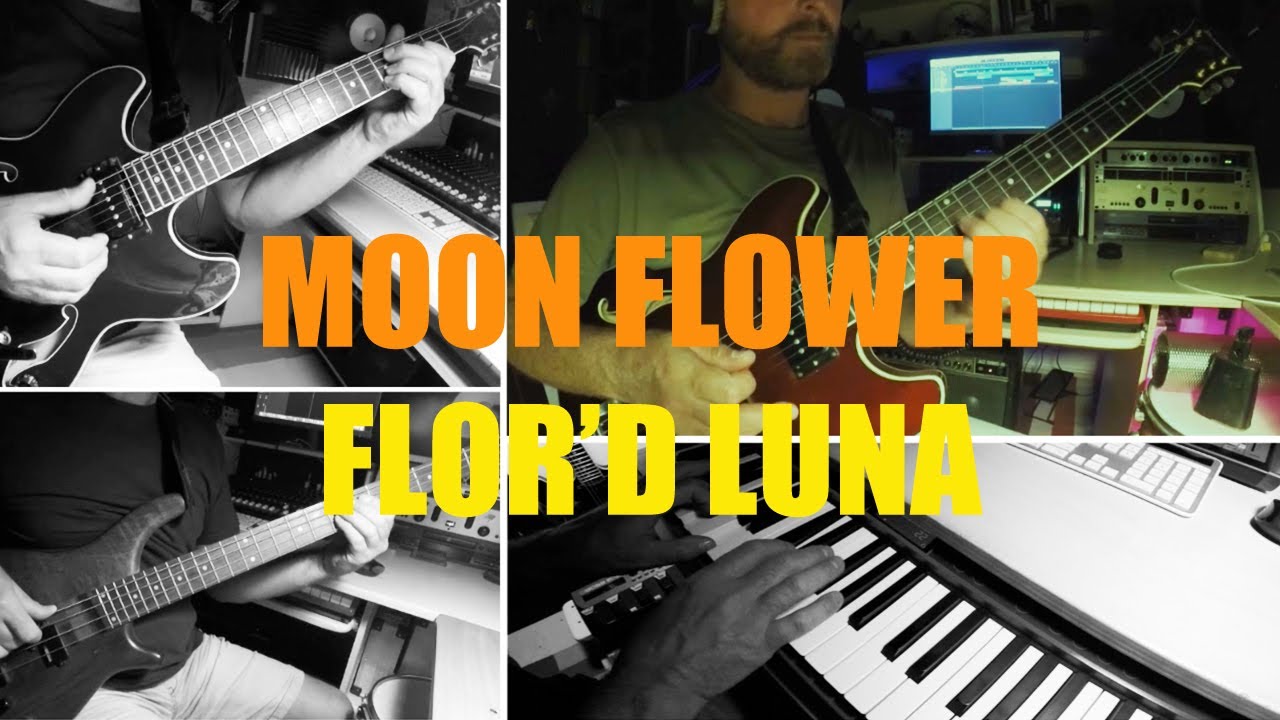 Moon Flower Flor D'Luna (Carlos Santana) / Bossa Version / Ibanez Artcore Semi Hollow Guitar