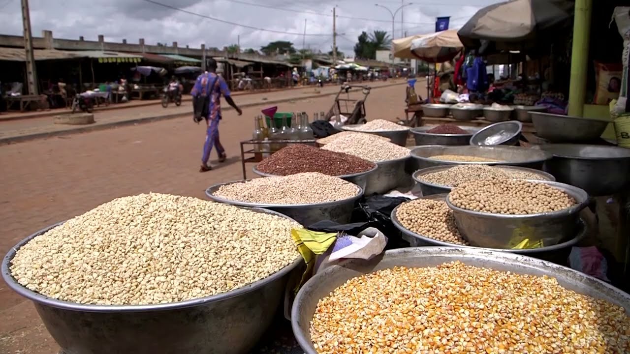 Benin's home-grown fertilizer thrives amid shortage