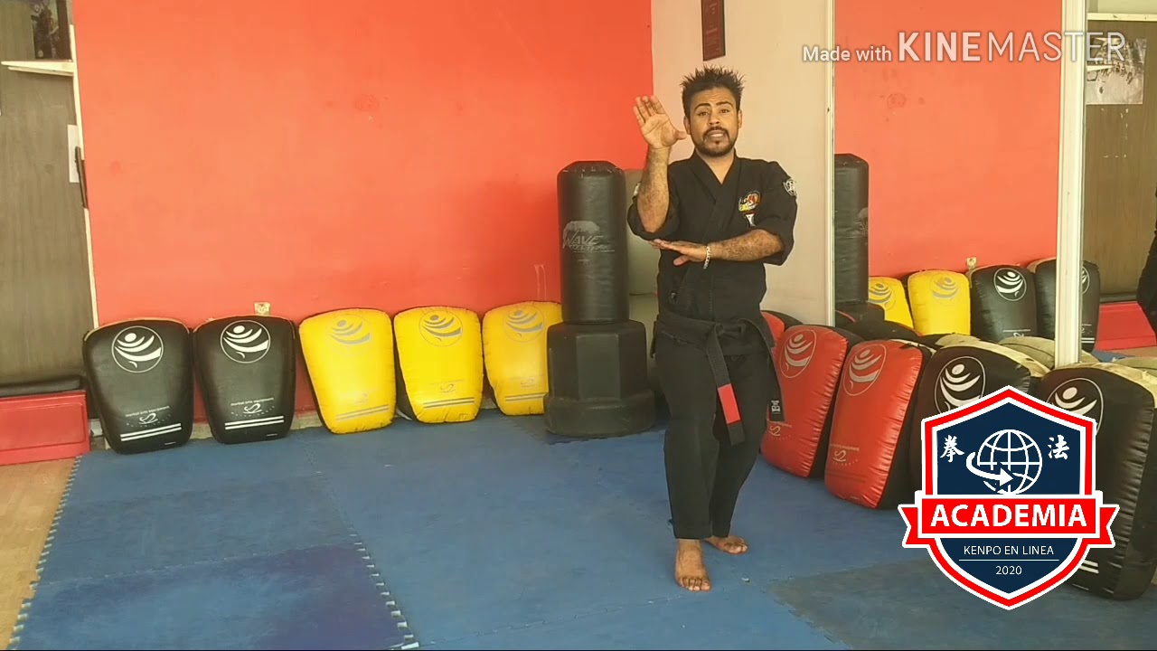 KENPO EN LÍNEA: Arrodillamiento Destructivo (Forma 4)