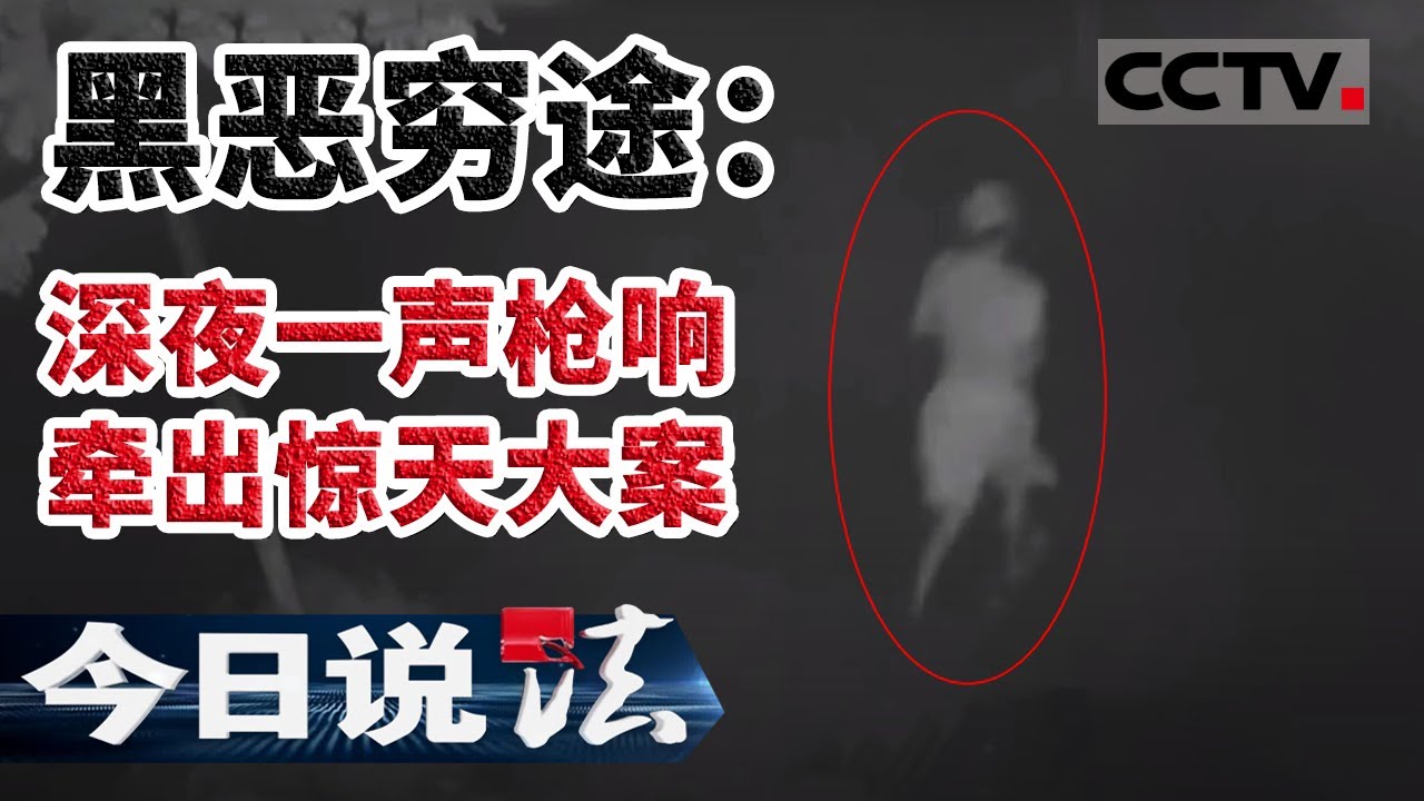 《今日说法》 黑恶穷途：深夜一声枪响牵出惊天大案 20200729 | CCTV今日说法官方频道