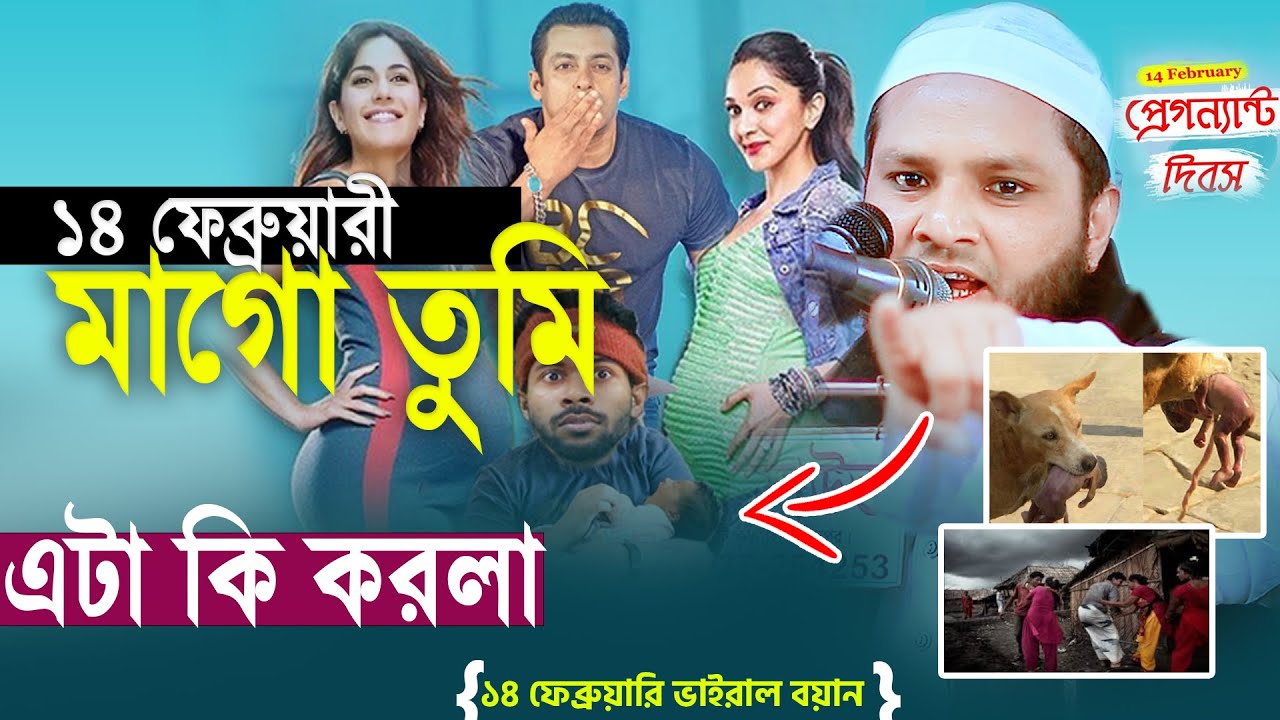 ১৪ ফেব্রুয়ারি নিয়ে হুজুর এটা কি গাইলেন!  মাওলানা আব্দুর রহমান ছিদ্দীক ওয়াজ