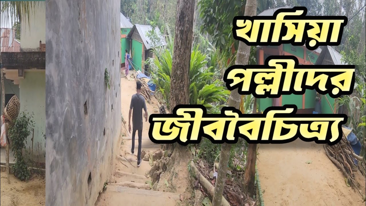 শ্রীমঙ্গলে খাসিয়া পল্লিদের জীবন যাপন || Lifestyle of Khasiya Polli at Sreemongol #খাসিয়া_পল্লী