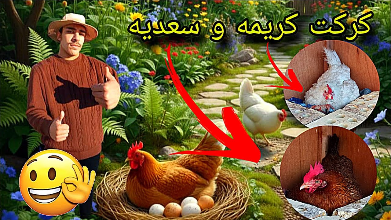 كركت كريمه وسعديه 🥰
