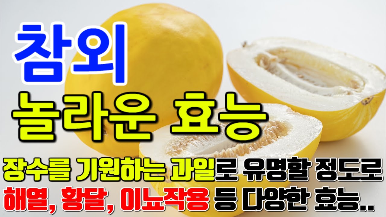 참외의 놀라운 효능 8가지 & 부작용 / 