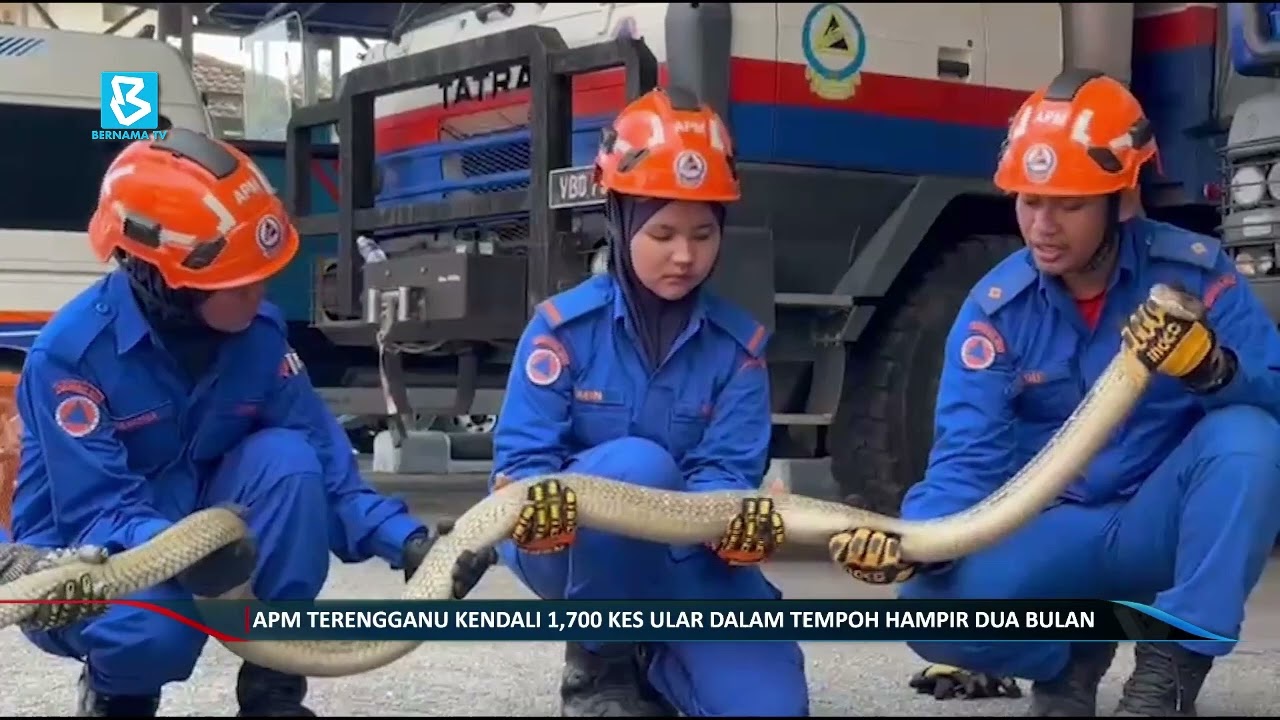 APM Terengganu kendali 1,700 kes ular dalam tempoh hampir dua bulan