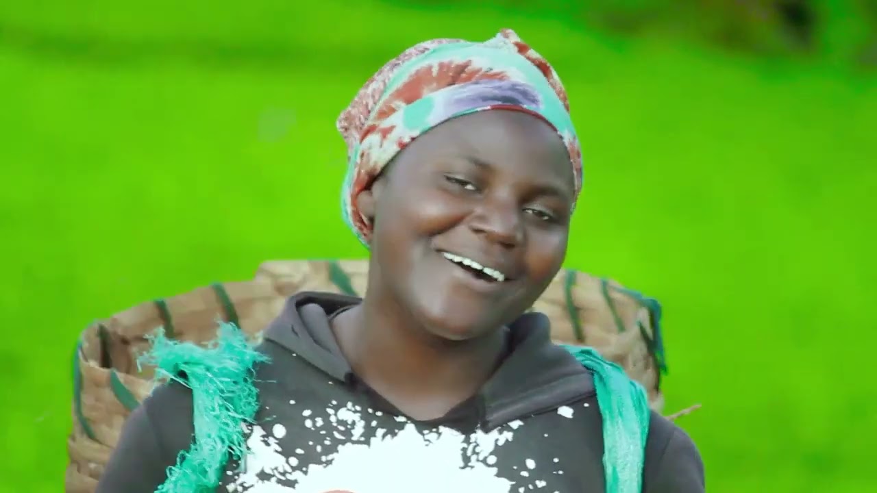 #UNILEVER  TEA TANZANIA PRODUCTION MUFINDI IRINGA TANZANIA.
