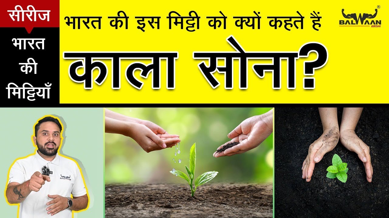 Indian Black Soil | भारत की मिट्टियाँ | काली मिट्टी की उपयोगिता | 𝐑𝐞𝐠𝐮𝐫 𝐒𝐨𝐢𝐥 𝐁𝐞𝐧𝐞𝐟𝐢𝐭𝐬 | Episode-2