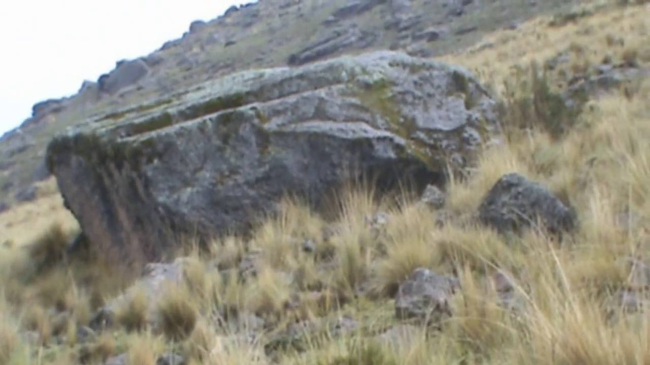 VIAJE A YUNGUYO, QUEÑUANI Y KHAPIA
