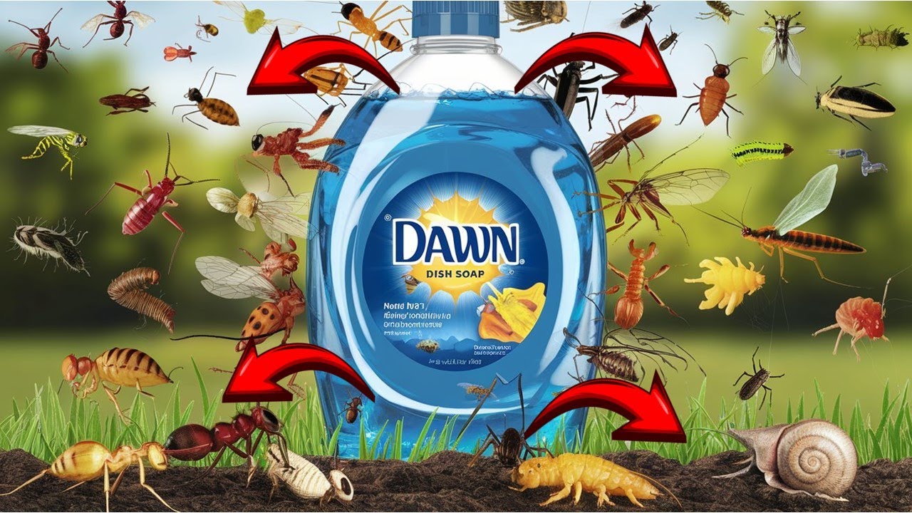 20 Pests Dawn Dish Soap Can Destroy