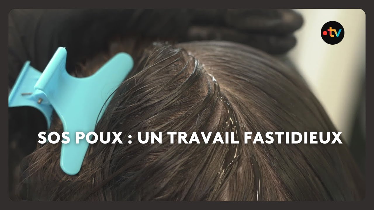 Lutter contre les poux est parfois un sentiment de mener un combat sans fin