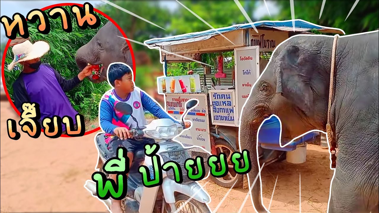 อุ้มบุญเติมน้ำหวาน ซื้อฝากพี่บัว ‼️ หวานจนตาเยิ้มเลย พี่ป้ายมาร้องลั่น |พัง อุ้มบุญ