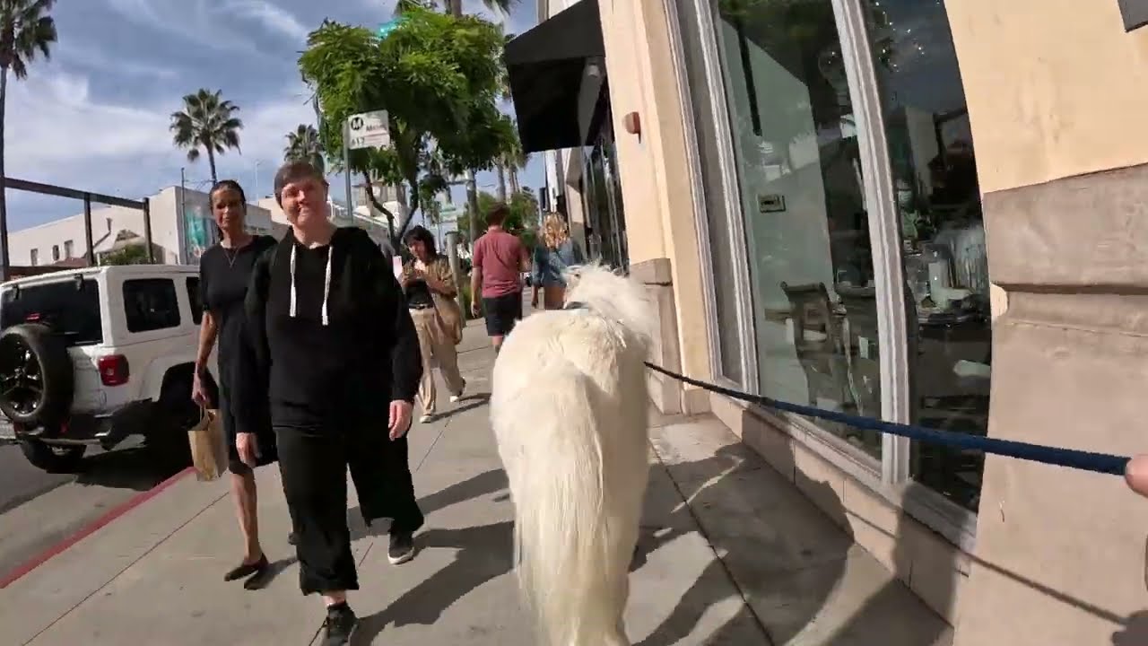 Lt. Rowdy takes a walk around Rodeo Drive 4 - 10 100423.