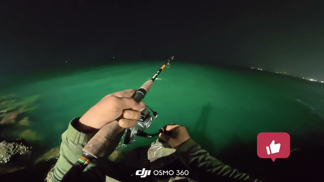 FULL VIDEO MONSTER BARRAMUNDI 🔥💪✌️
