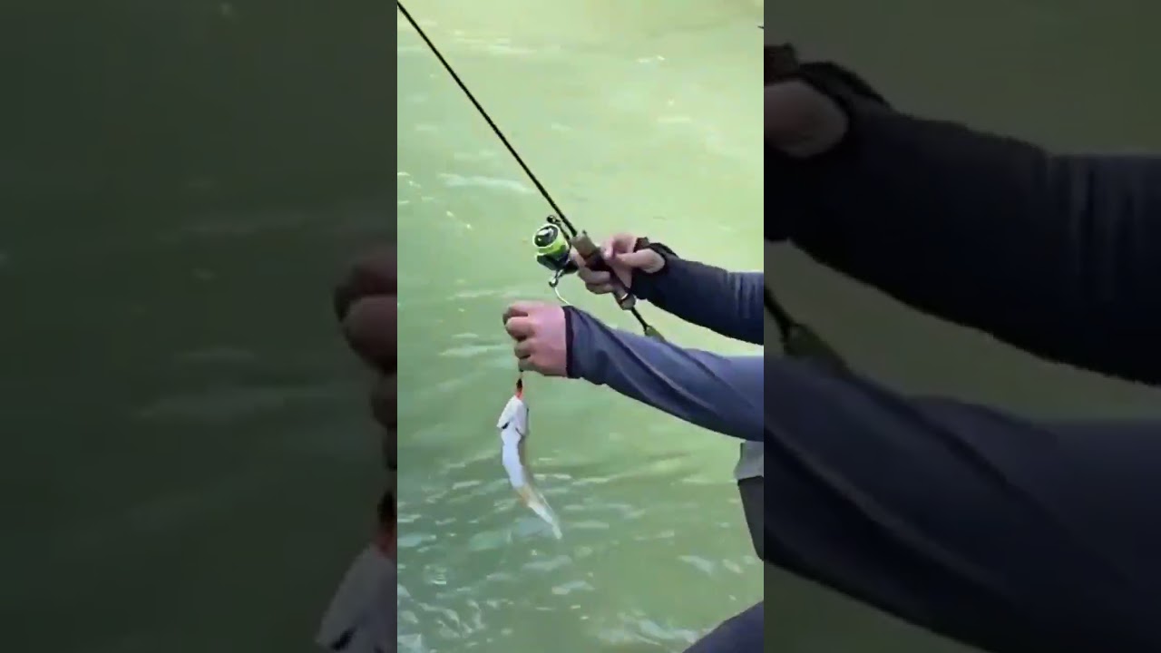 Ловля форели 