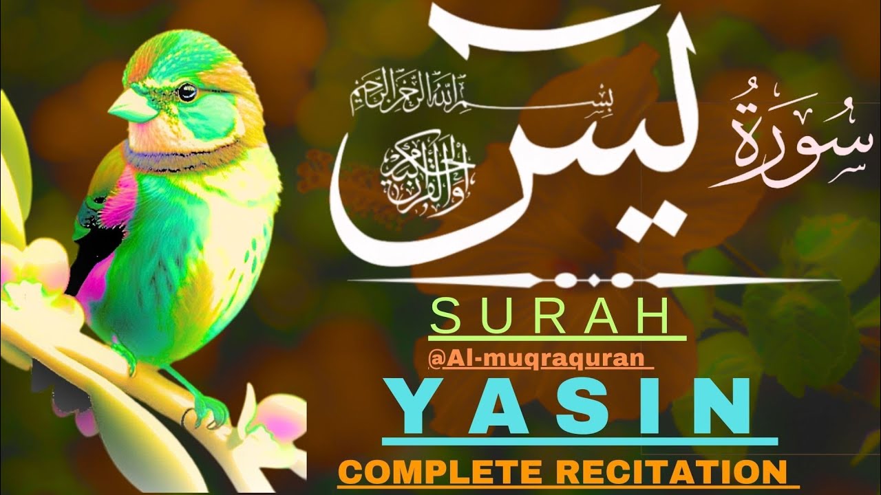 Surah Yaseen | Episode 41 | Inspiring and Peaceful Quran Recitation | Al Muqra 