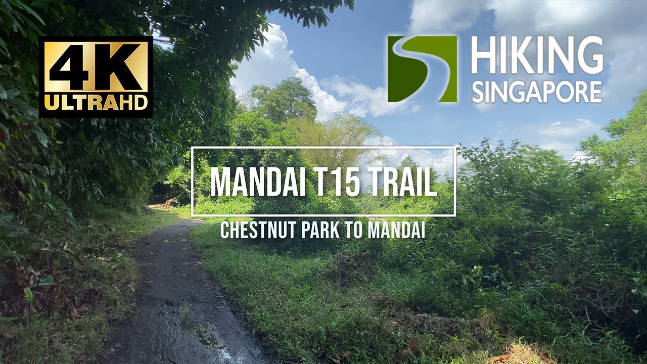 Mandai T15 Trail and Abandoned Kampung Hut - Hiking Singapore [4K] [HDR]