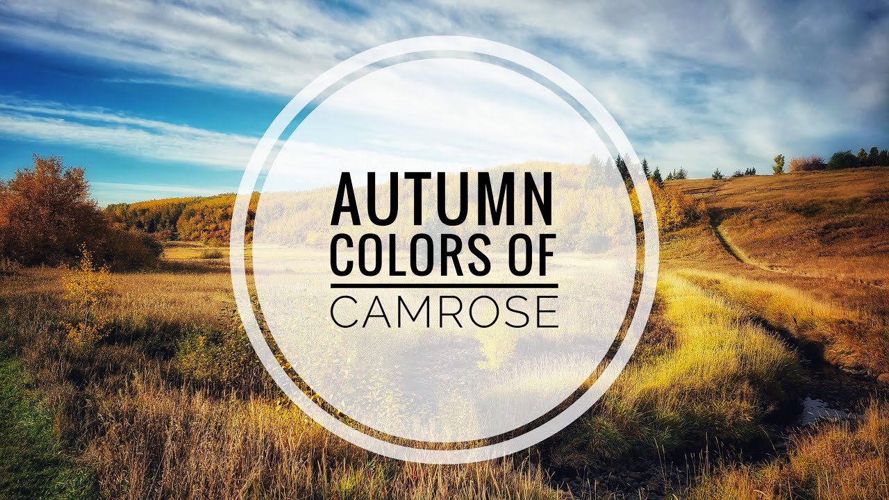 Autumn Colors of Camrose