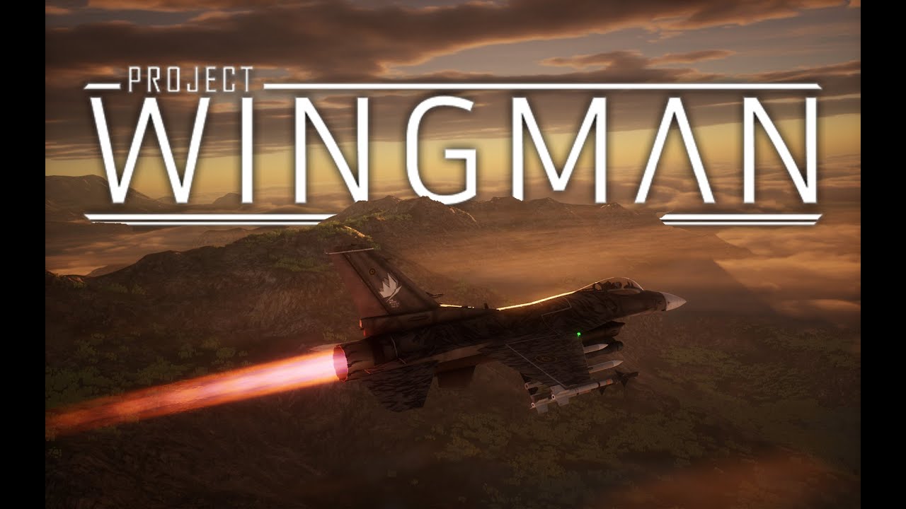 What Happens If You Chase The Enemy Jet? | Project Wingman