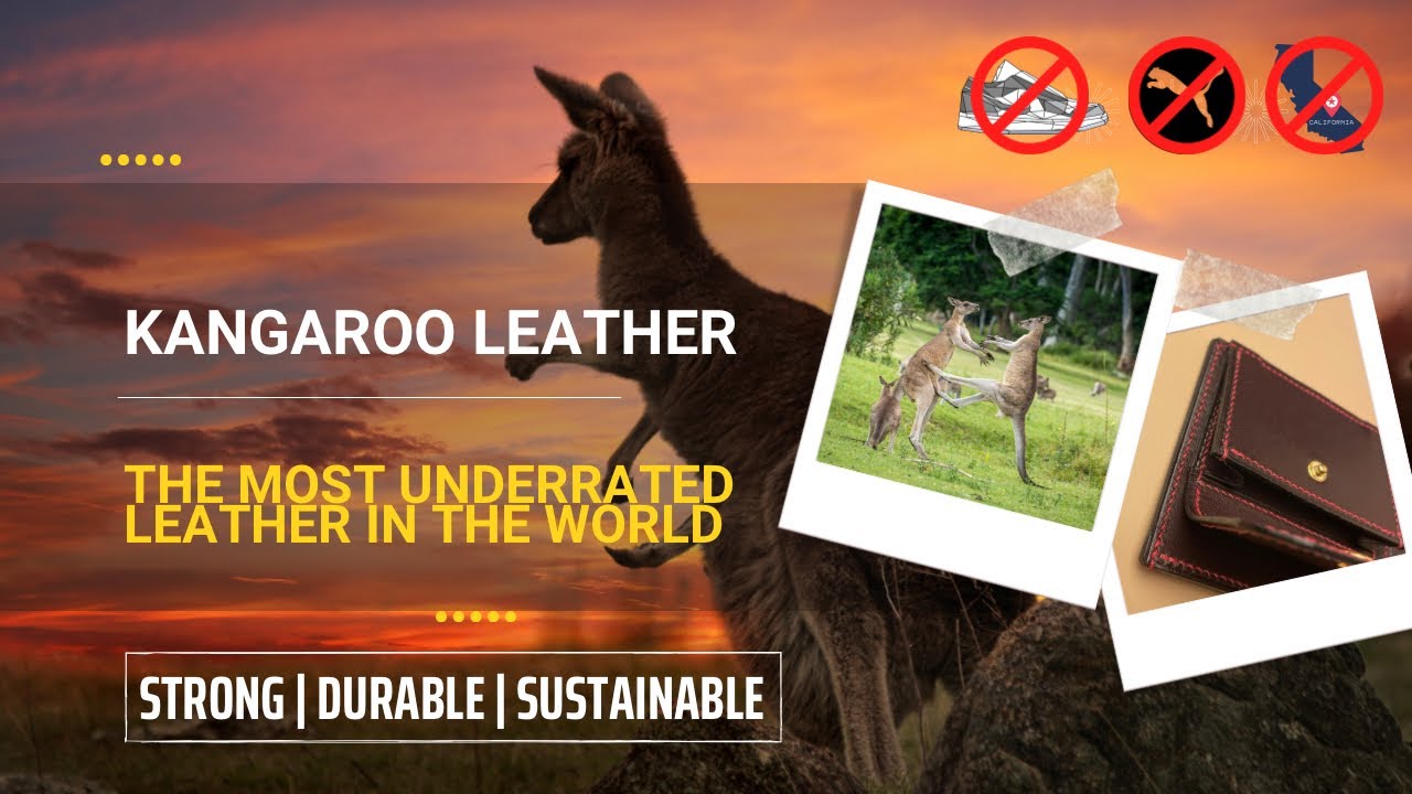 Kangaroo Leather | The Most Underrated Leather in The World