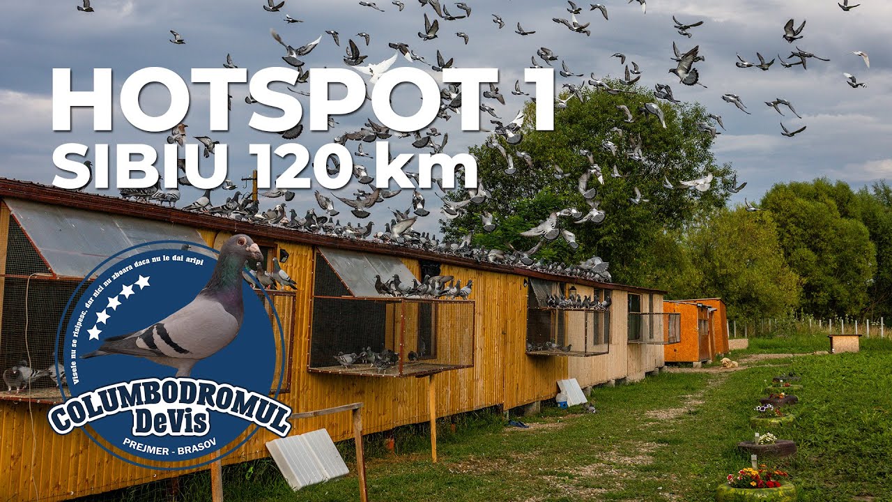 Columbodromul DeVis - Hotspot ( 1 ) Sibiu 120 km