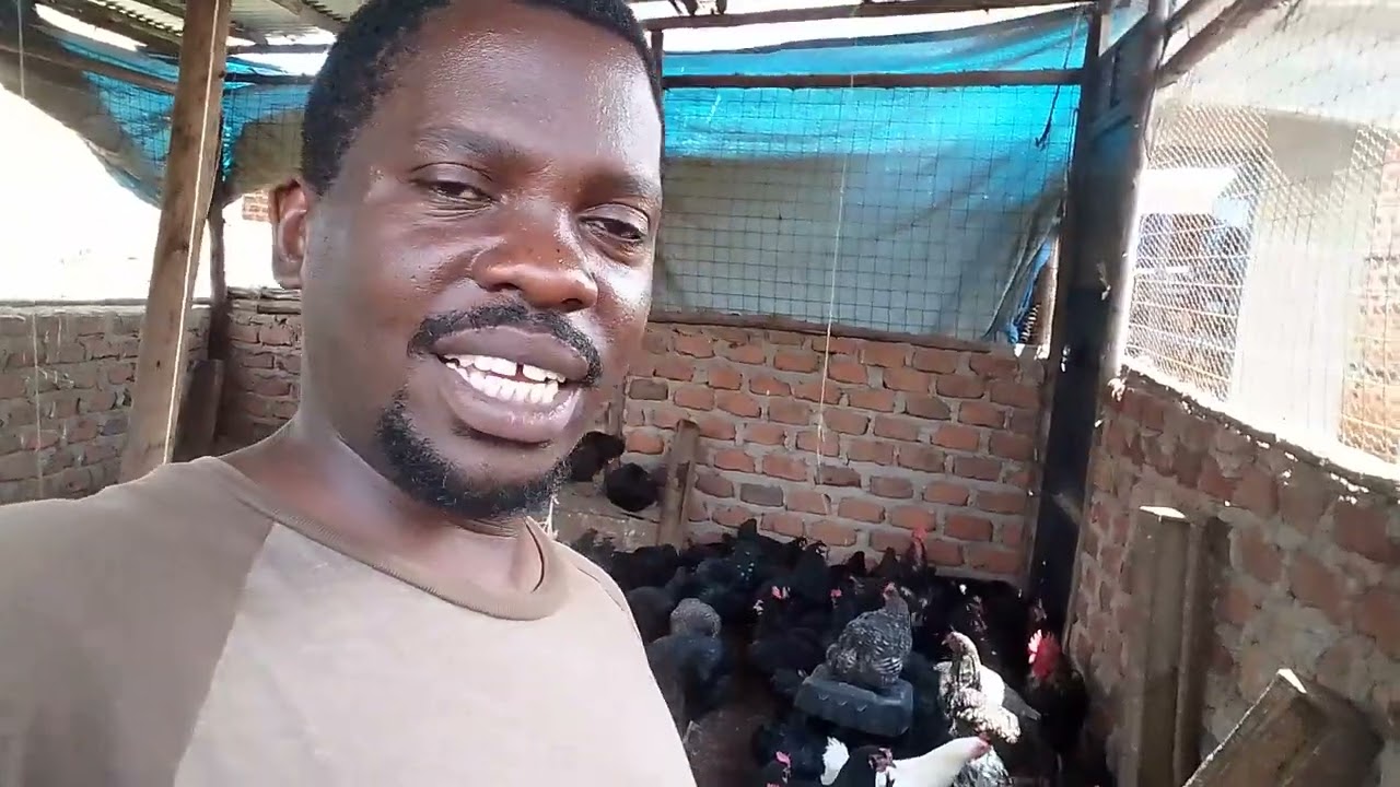 Did you know that you can start from your idle  rent room , just watch this video