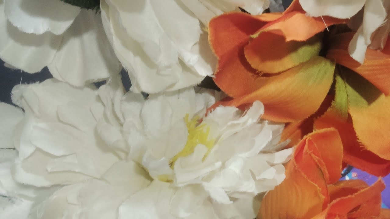 Sky kitchen लाइव है!