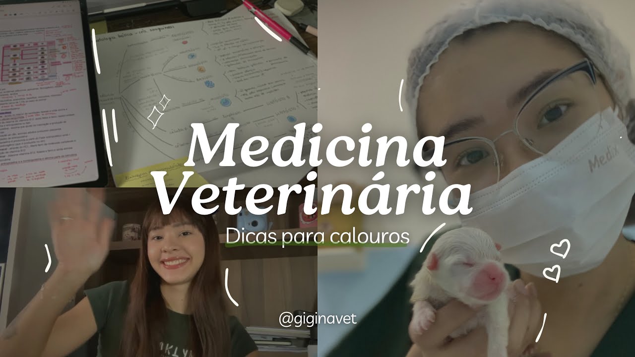 dicas para calouros de medicina veterinária (veteranos também) ✨🐢
