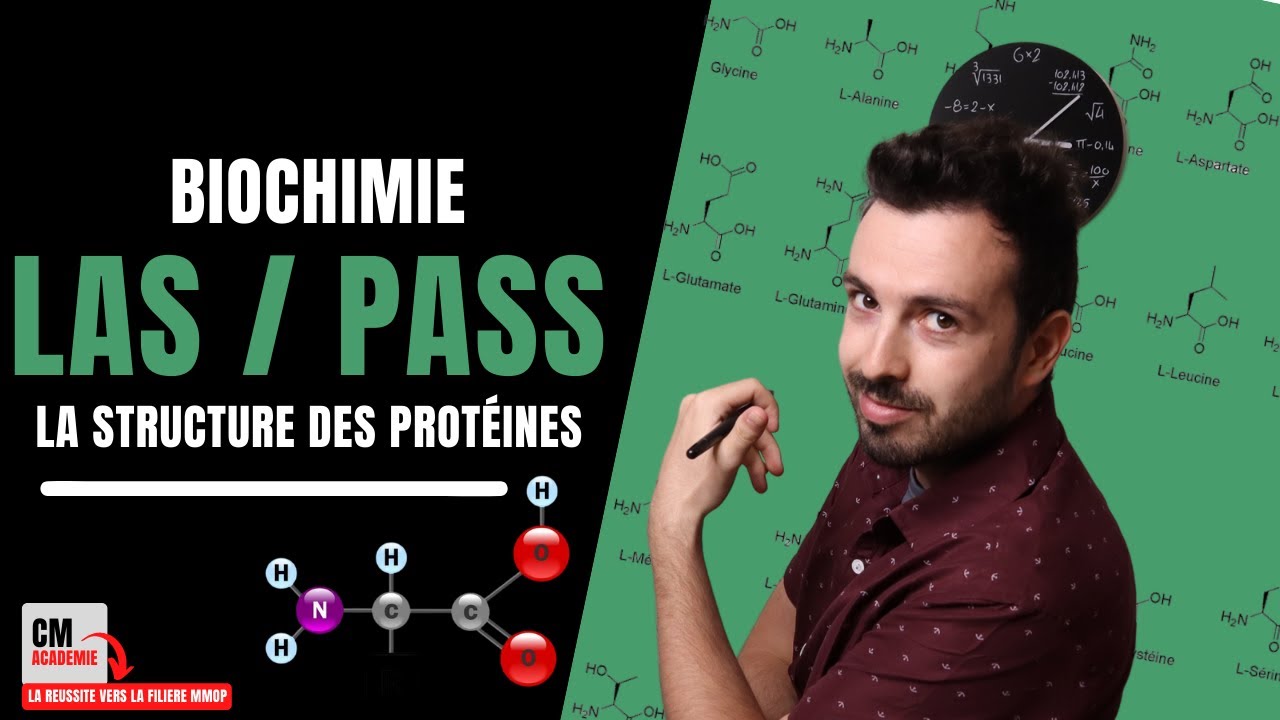La Structure des PROTEINES : 🧬Primaire, Secondaire, Tertiaire, Quaternaire (h&eacute;lice, feuillet, plan)